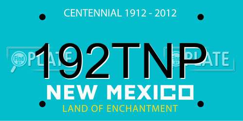 192TNP New Mexico License Plate