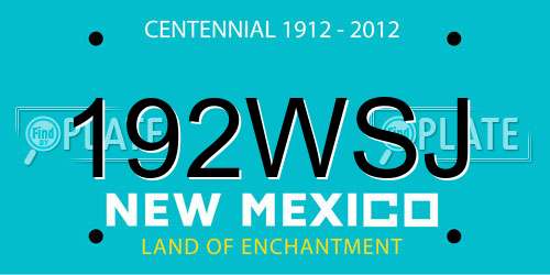 192WSJ New Mexico License Plate