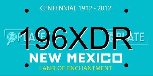 196XDR New Mexico License Plate