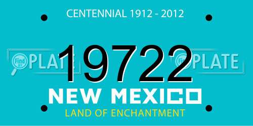 19722 New Mexico License Plate