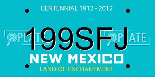 199SFJ New Mexico License Plate
