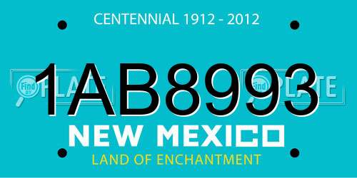 1AB8993 New Mexico License Plate