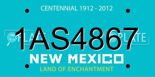 1AS4867 New Mexico License Plate