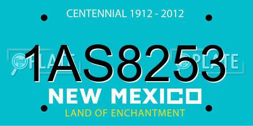 1AS8253 New Mexico License Plate