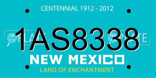1AS8338 New Mexico License Plate