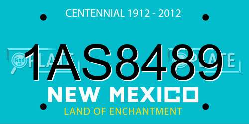 1AS8489 New Mexico License Plate