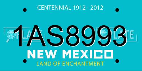 1AS8993 New Mexico License Plate