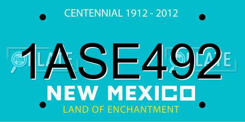 1ASE492 New Mexico License Plate