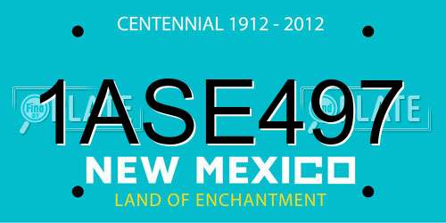 1ASE497 New Mexico License Plate