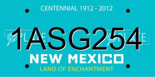 1ASG254 New Mexico License Plate