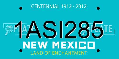 1ASI285 New Mexico License Plate