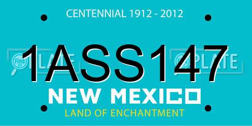 1ASS147 New Mexico License Plate