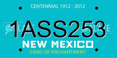 1ASS253 New Mexico License Plate