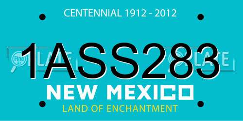 1ASS283 New Mexico License Plate