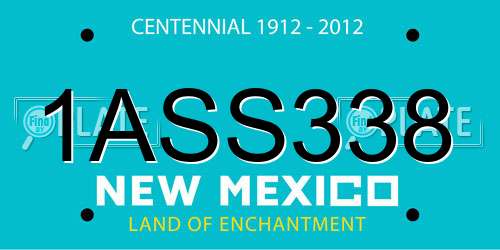 1ASS338 New Mexico License Plate