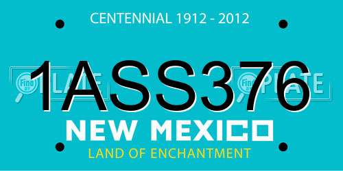 1ASS376 New Mexico License Plate