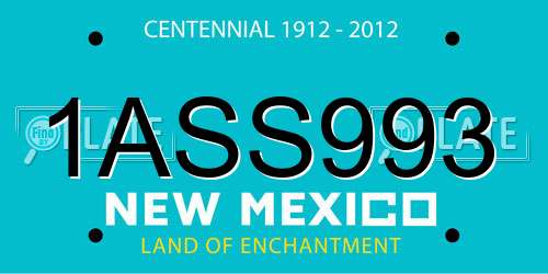 1ASS993 New Mexico License Plate
