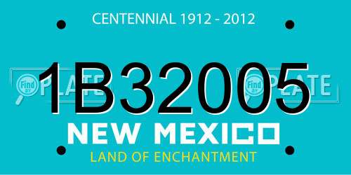 1B32005 New Mexico License Plate