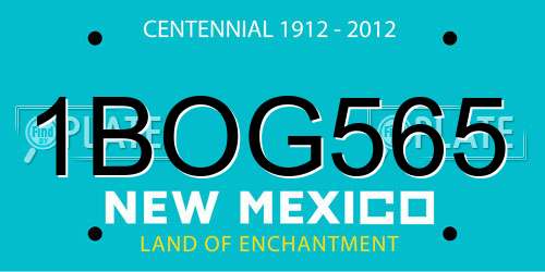 1BOG565 New Mexico License Plate