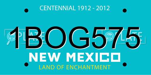 1BOG575 New Mexico License Plate