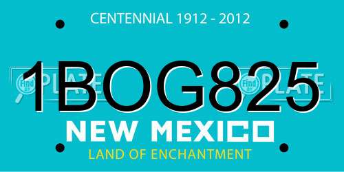 1BOG825 New Mexico License Plate