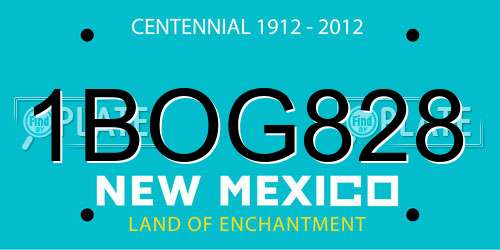 1BOG828 New Mexico License Plate
