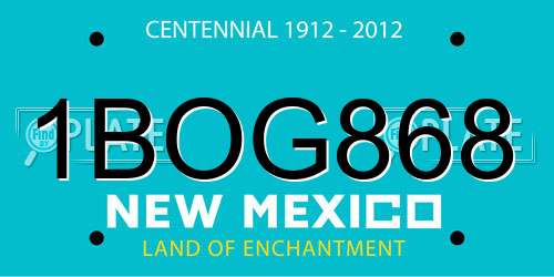 1BOG868 New Mexico License Plate
