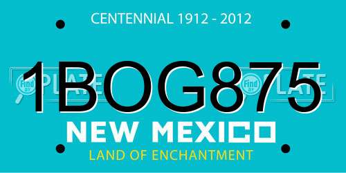 1BOG875 New Mexico License Plate