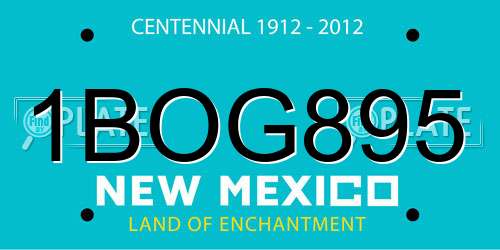 1BOG895 New Mexico License Plate
