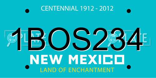 1BOS234 New Mexico License Plate
