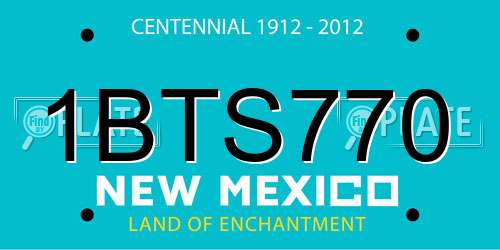 1BTS770 New Mexico License Plate