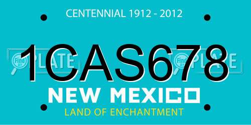 1CAS678 New Mexico License Plate