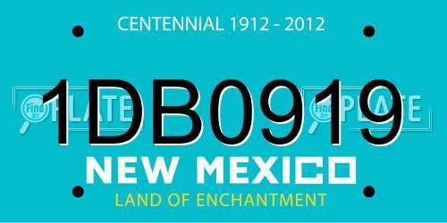 1DB0919 New Mexico License Plate