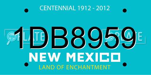 1DB8959 New Mexico License Plate