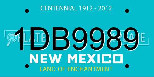 1DB9989 New Mexico License Plate
