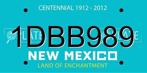 1DBB989 New Mexico License Plate