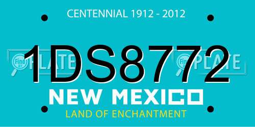 1DS8772 New Mexico License Plate