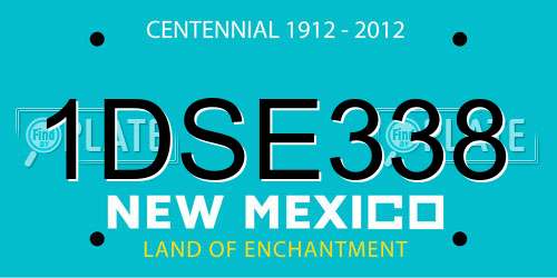 1DSE338 New Mexico License Plate