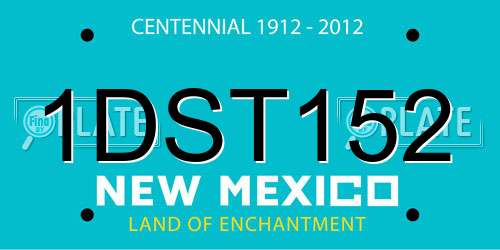 1DST152 New Mexico License Plate