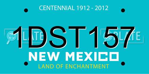 1DST157 New Mexico License Plate