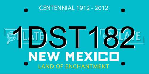 1DST182 New Mexico License Plate