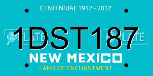 1DST187 New Mexico License Plate
