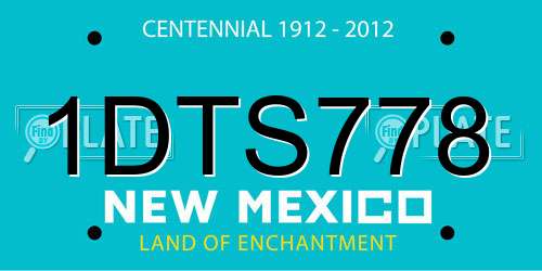 1DTS778 New Mexico License Plate