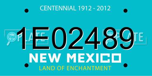 1E02489 New Mexico License Plate