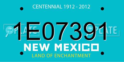 1E07391 New Mexico License Plate