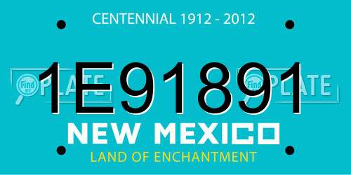 1E91891 New Mexico License Plate