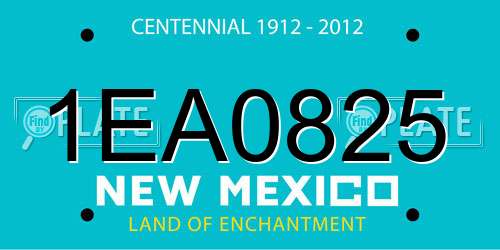 1EA0825 New Mexico License Plate
