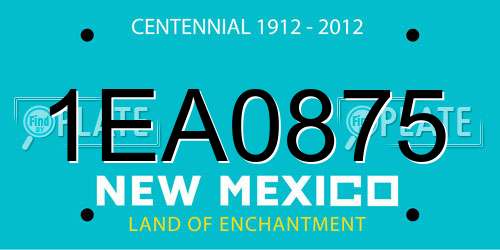 1EA0875 New Mexico License Plate