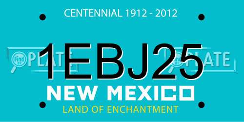 1EBJ25 New Mexico License Plate