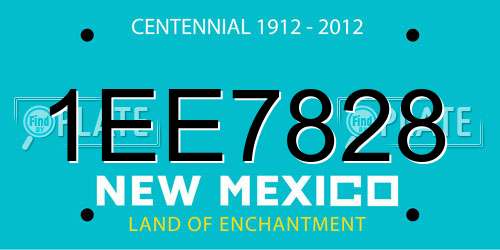 1EE7828 New Mexico License Plate
